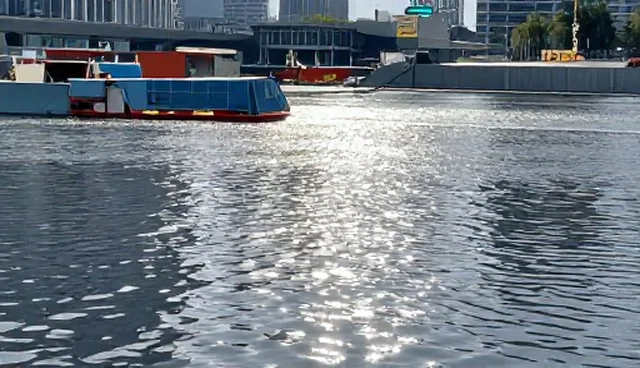 账号代运营中流程优化的关键点与实际操作